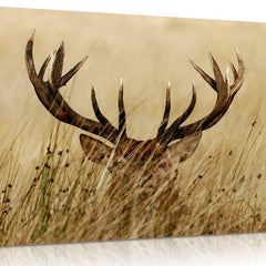 Stag in the Grass Canvas