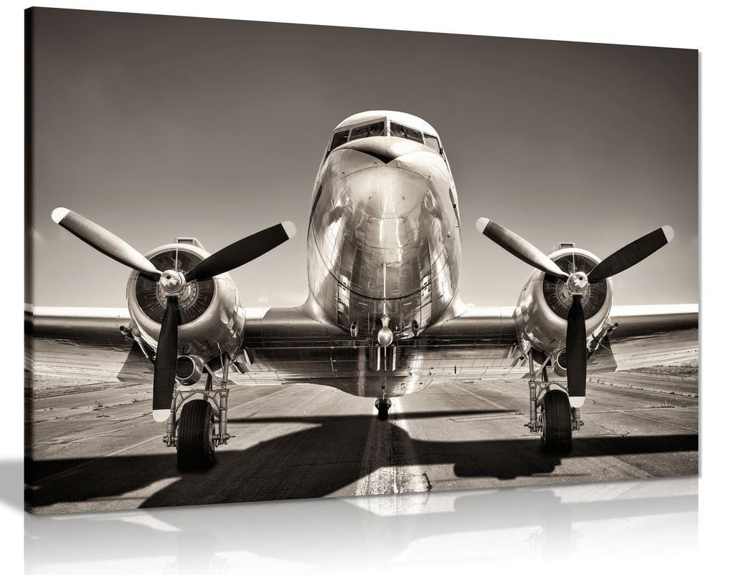 Vintage Silver Airplane Canvas