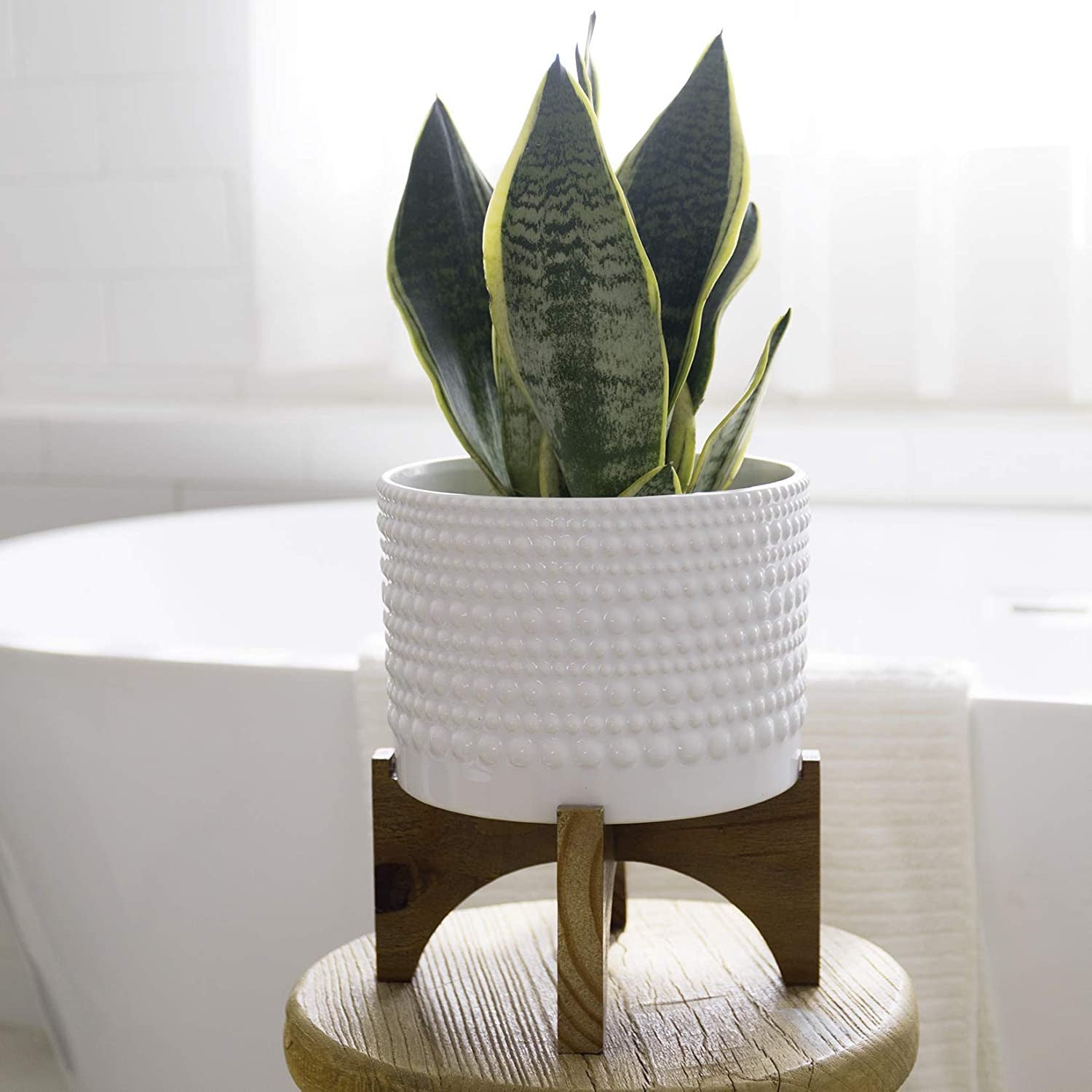 Ceramic Planter with Wood Stand