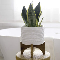 Ceramic Planter with Wood Stand