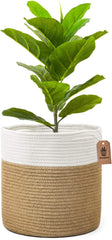 Jute Rope Plant Basket