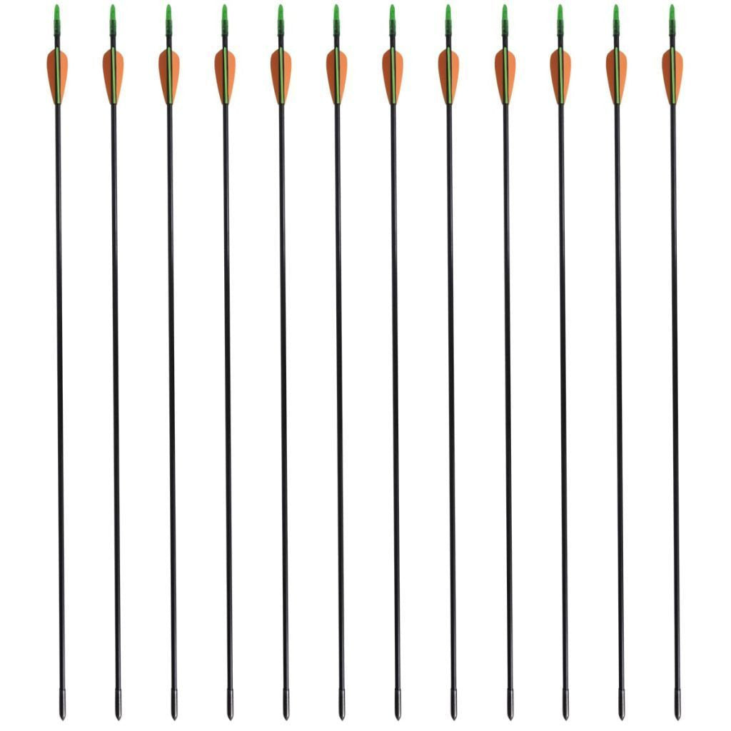 Standard Recurve Bow Arrows 30" 0.6 cm Fiberglass 12 pcs
