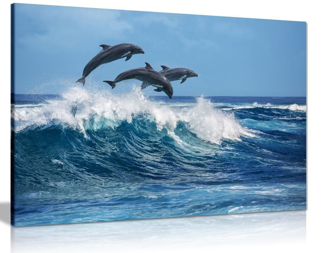 Jumping Dolphins Canvas