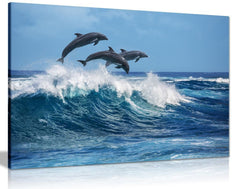Jumping Dolphins Canvas