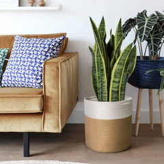 Jute Rope Plant Basket
