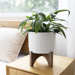 Ceramic Planter with Wood Stand