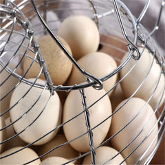 Farmhouse Hen Egg Collector