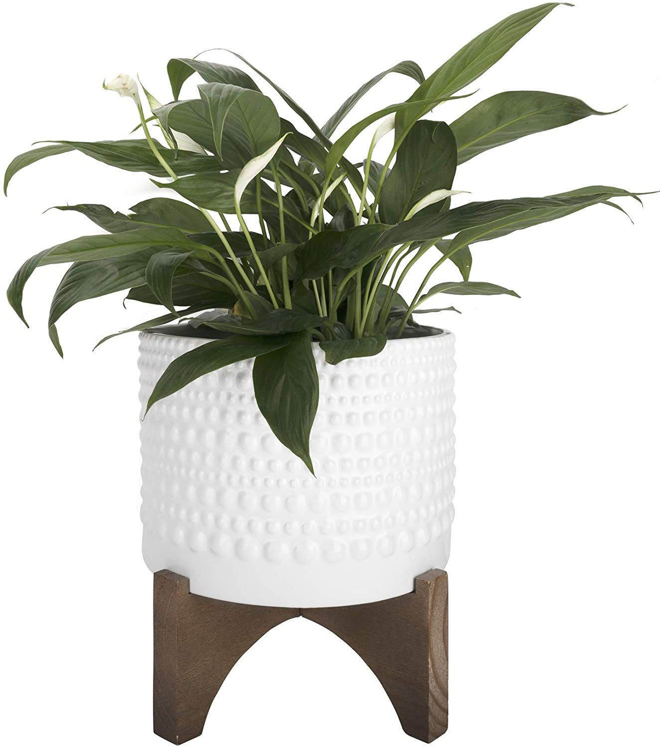 Ceramic Planter with Wood Stand