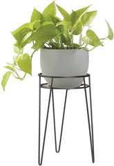 Metal and Plant Pot Holder