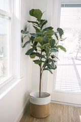 Jute Rope Plant Basket