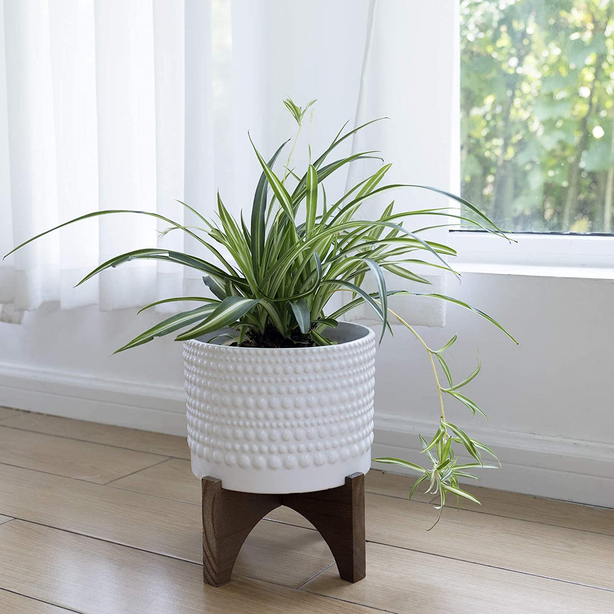 Ceramic Planter with Wood Stand