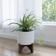 Ceramic Planter with Wood Stand